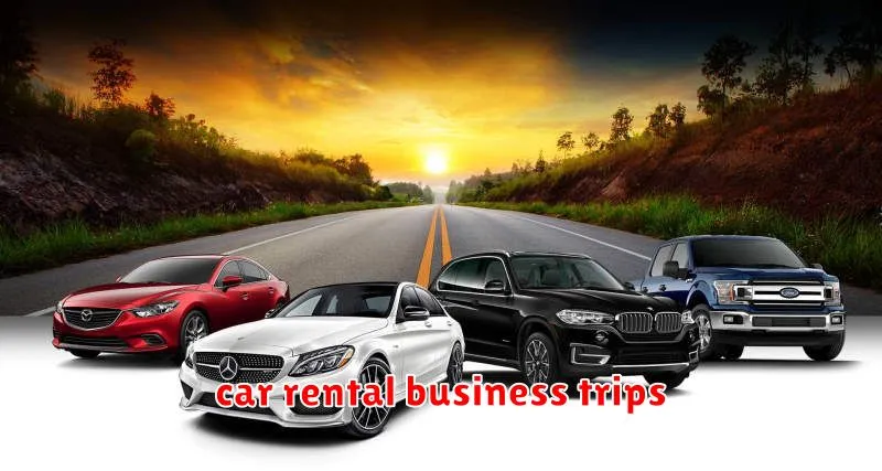 car rental business trips