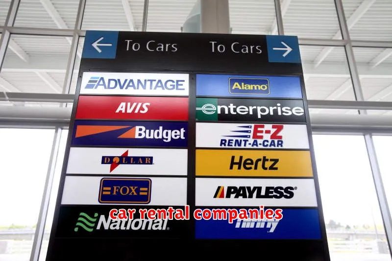 car rental companies