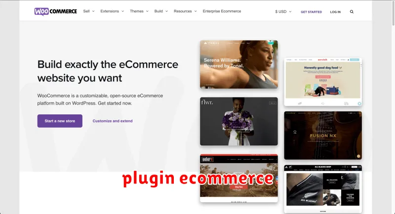 plugin ecommerce